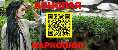 шишки Пушкино