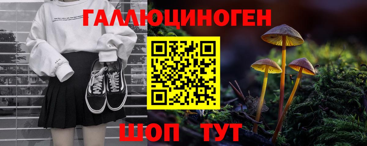 купить наркотик  Псилоцибиновые грибы Cubensis  Вход с VPN  Галлюциногенные грибы прущие грибы  Новошахтинск 